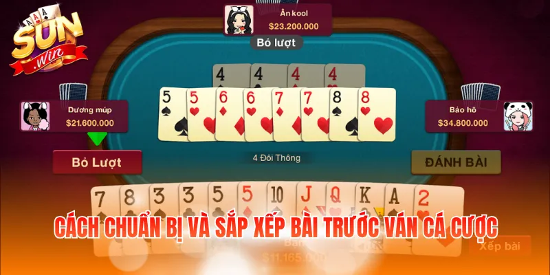 Cách chuẩn bị và sắp xếp bài trước ván cá cược