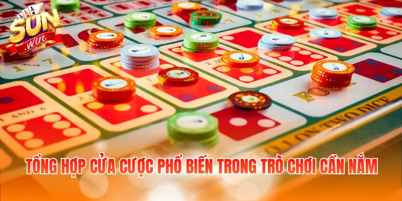 Tổng hợp cửa cược phổ biến trong trò chơi cần nắm